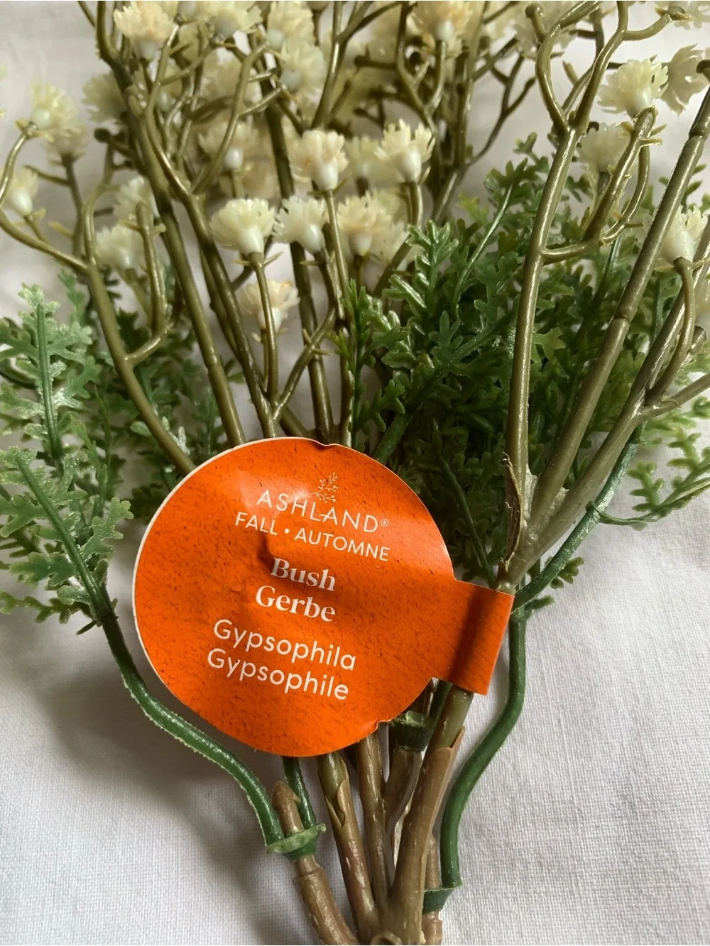 Ashland delicate cream